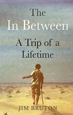 Book cover for The in Between