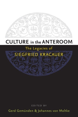 Book cover for Culture in the Anteroom