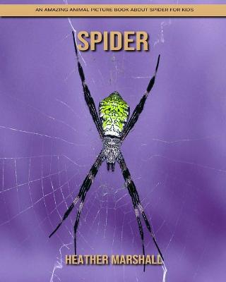 Book cover for Spider