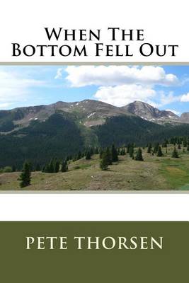 Book cover for When The Bottom Fell Out