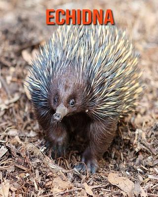 Book cover for Echidna