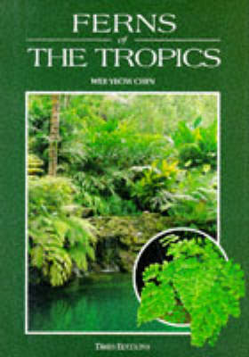 Book cover for Ferns of the Tropics