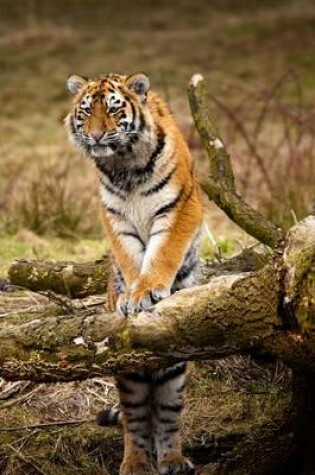 Cover of Siberian Tiger on a Tree (for the Love of Tigers)