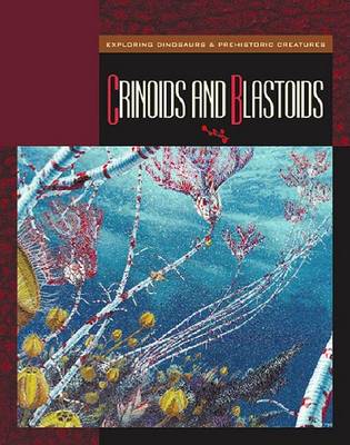 Book cover for Crinoids and Blastoids
