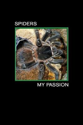Book cover for Spiders my Passion