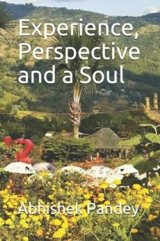 Cover of Experience, Perspective and a Soul