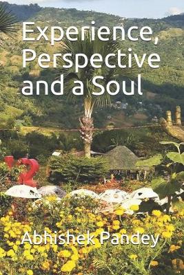 Book cover for Experience, Perspective and a Soul