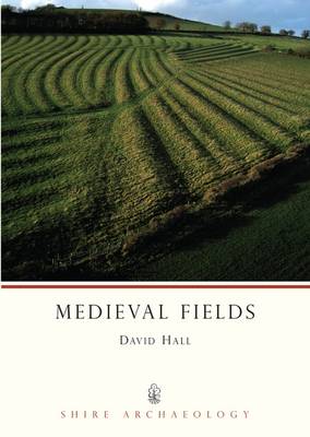 Book cover for Medieval Fields