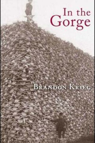 Cover of In the Gorge