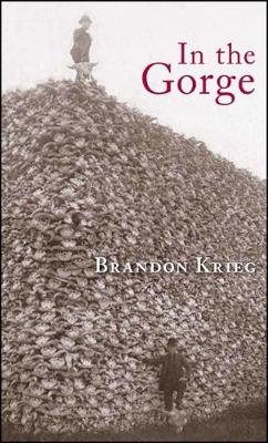 Book cover for In the Gorge