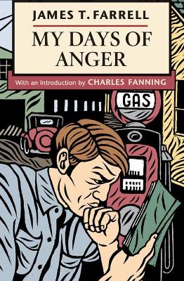 Book cover for My Days of Anger