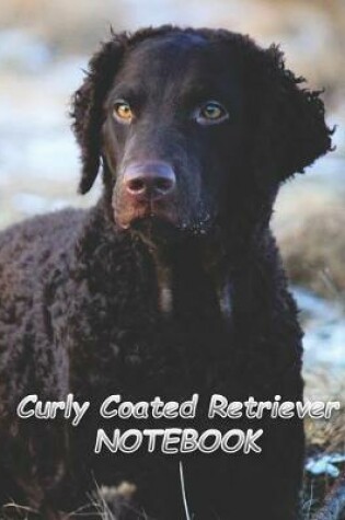Cover of Curly Coated Retriever NOTEBOOK