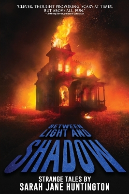 Book cover for Between Light And Shadow