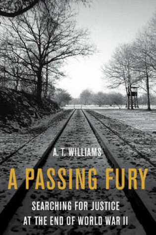 Cover of A Passing Fury