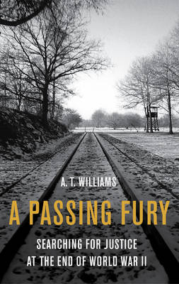 Book cover for A Passing Fury