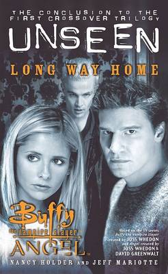 Book cover for Buffy/Angel Crossover