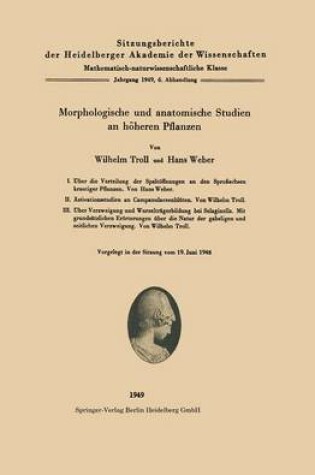 Cover of Morphologische Und Anatomische Studien an Hoeheren Pflanzen