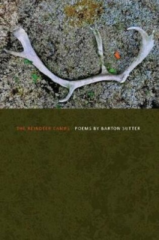 Cover of The Reindeer Camps