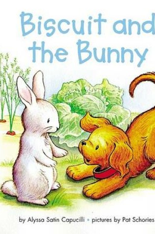 Cover of Biscuit and the Bunny