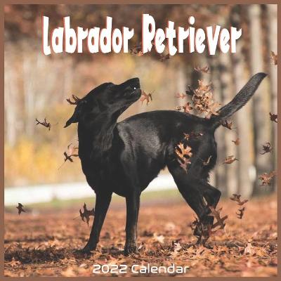 Book cover for Labrador Retriever 2022 Calendar