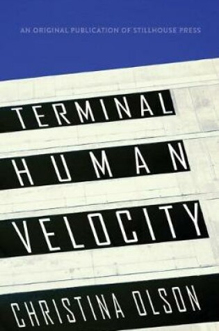 Cover of Terminal Human Velocity