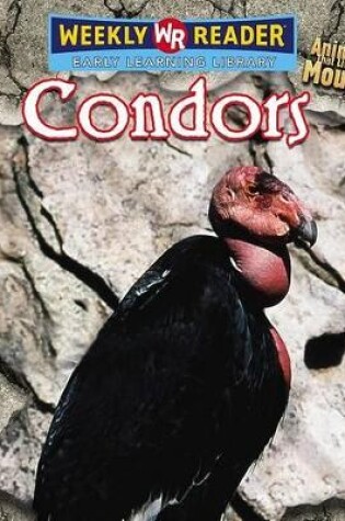 Cover of Condors
