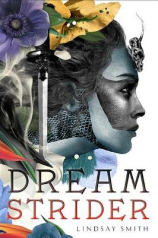 Cover of Dreamstrider