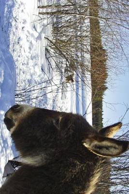 Book cover for A Donkey in the Snow, for the Love of Animals