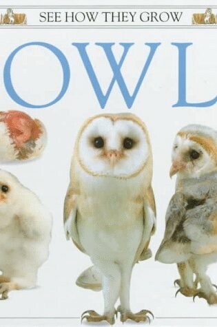 Cover of Owl