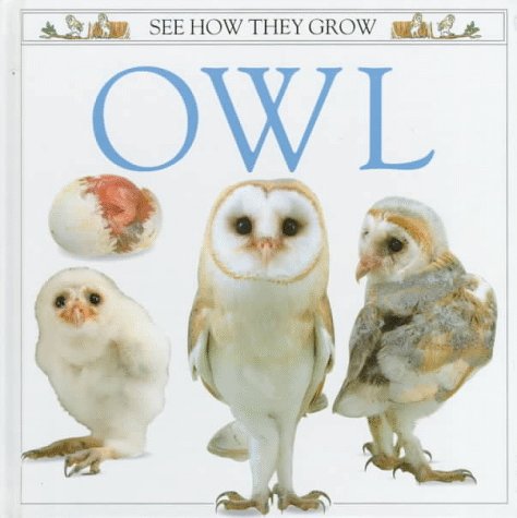 Cover of Owl