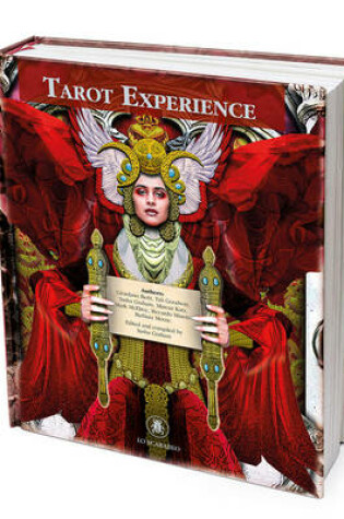 Cover of Tarot Experience