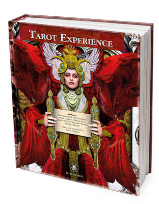 Book cover for Tarot Experience