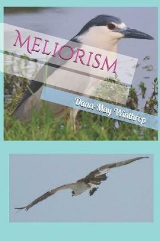 Cover of Meliorism