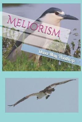 Book cover for Meliorism