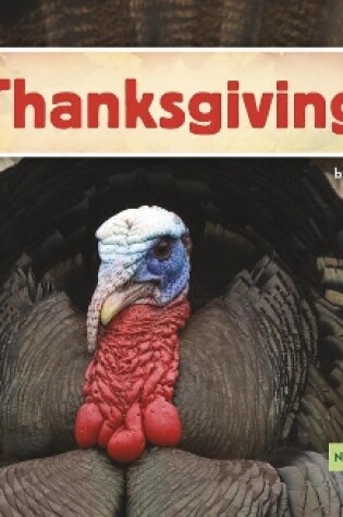 Cover of Thanksgiving Day