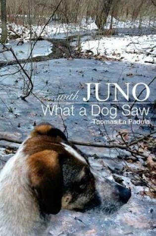 Cover of ...with Juno