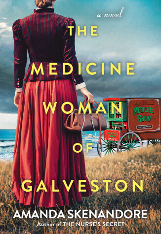 Book cover for The Medicine Woman of Galveston
