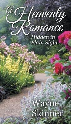 Book cover for A Heavenly Romance