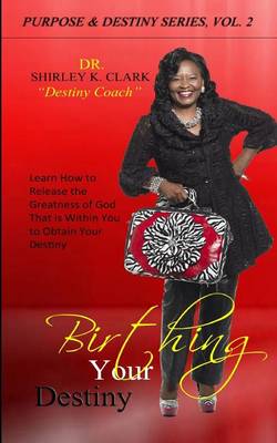 Book cover for Birthing Your Destiny