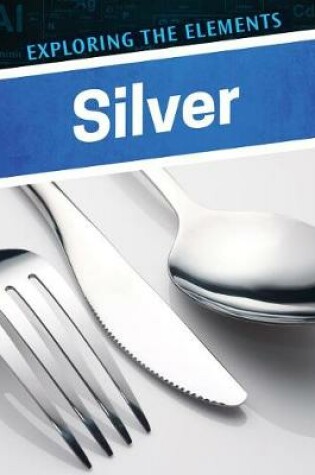 Cover of Silver