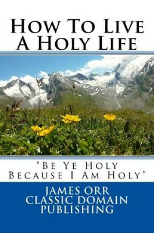 Cover of How To Live A Holy Life