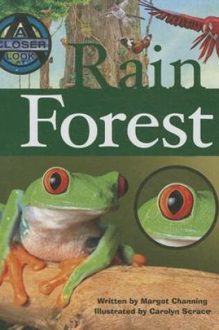 Cover of Rain Forest