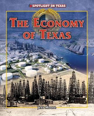 Book cover for The Economy of Texas