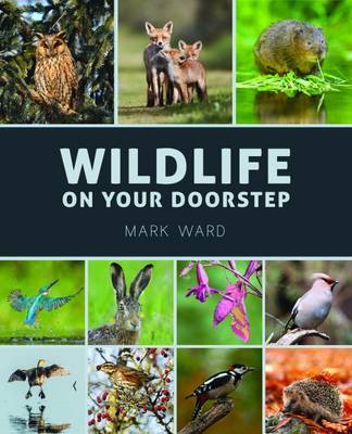 Book cover for Wildlife on Your Doorstep