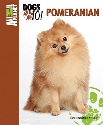 Book cover for Pomeranian