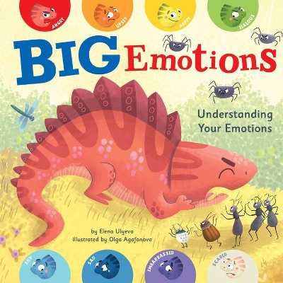 Book cover for Big Emotions (Clever Emotions)