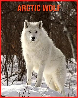 Book cover for Arctic wolf