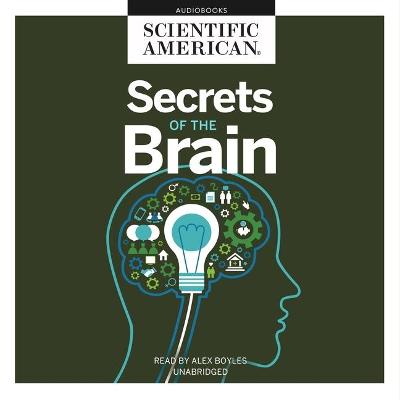 Book cover for Secrets of the Brain