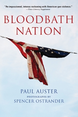 Book cover for Bloodbath Nation