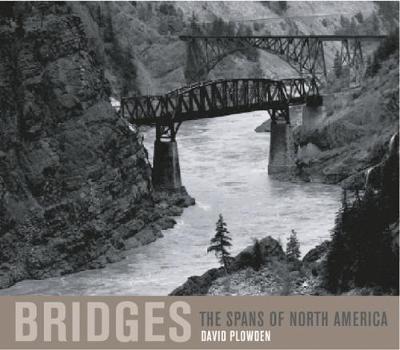 Book cover for Bridges